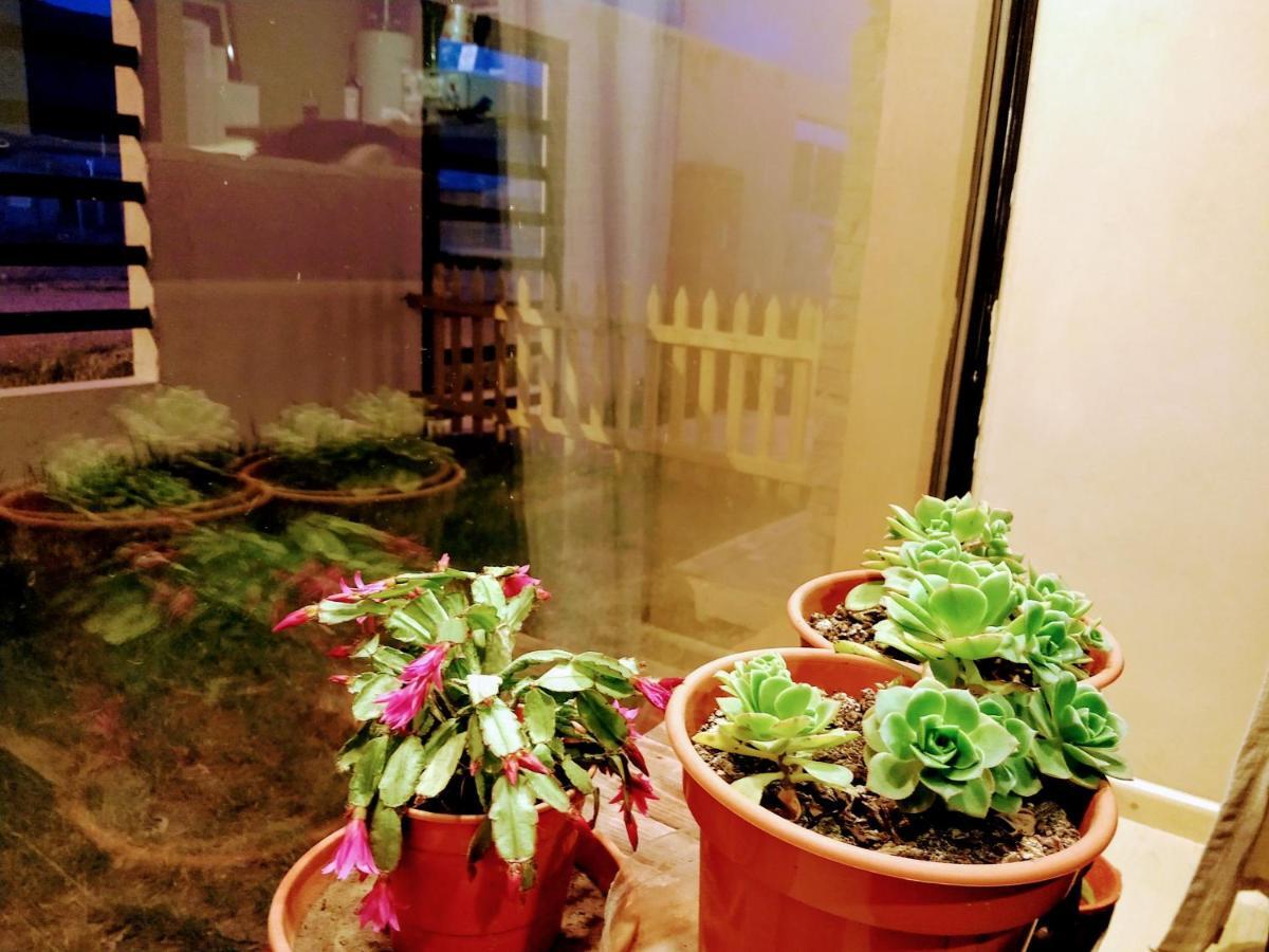 Casa En Gregores Gobernador Gregores المظهر الخارجي الصورة
